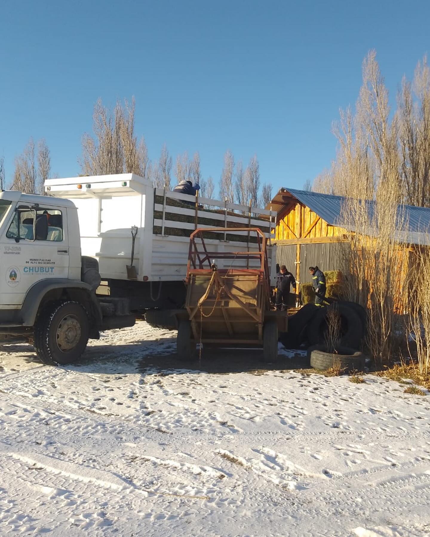 Se inició la entrega de forraje a productores locales